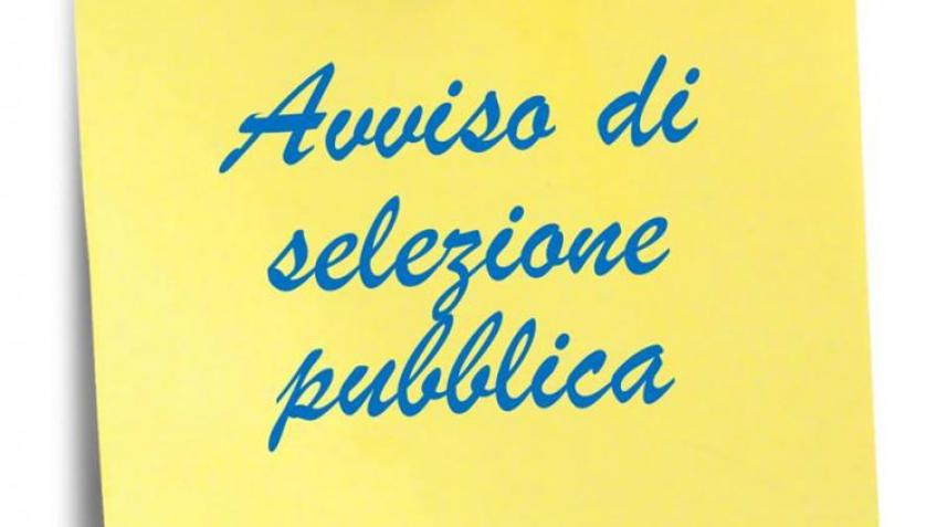 AVVISO di selezione pubblica per il conferimento dell'incarico di Responsabile del settore Economico-Finanziario